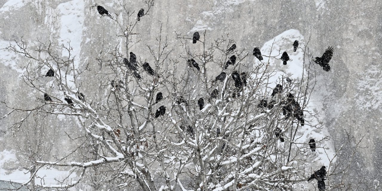 Aralık'ta En Düşük Sıcaklık Van'da En Yüksek Sıcaklık Hatay'da Ölçüldü