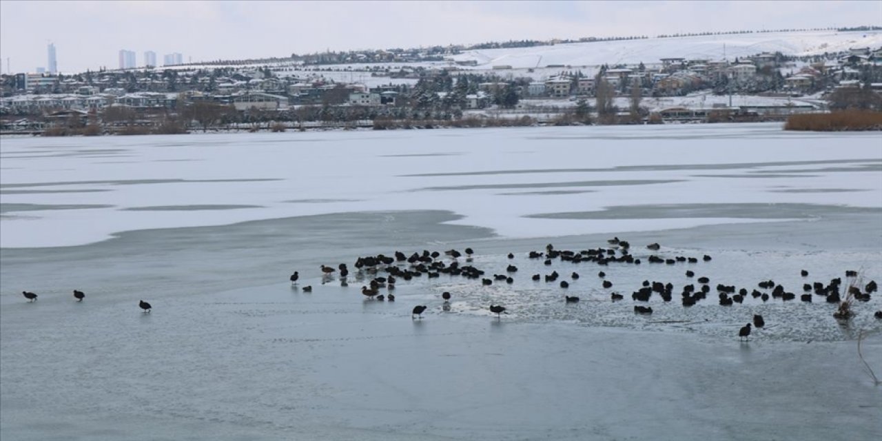 Gölbaşı Gölü Buz Tuttu