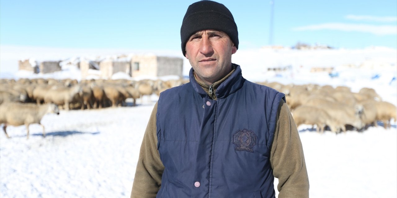 Kangal Akkaraman Irkı Koyun Sürüsünü Devlet Desteğiyle 6 Kat Büyüttü