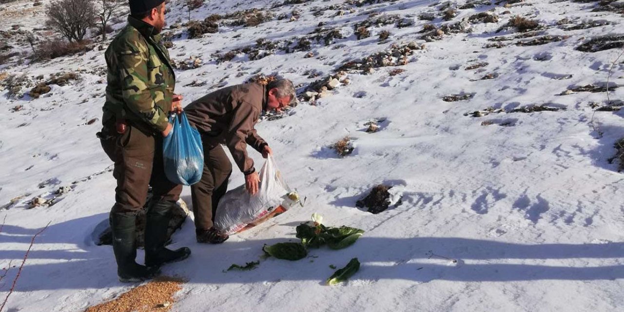 Adıyaman'da Yaban Hayvanları İçin Doğaya Yem Bırakıldı
