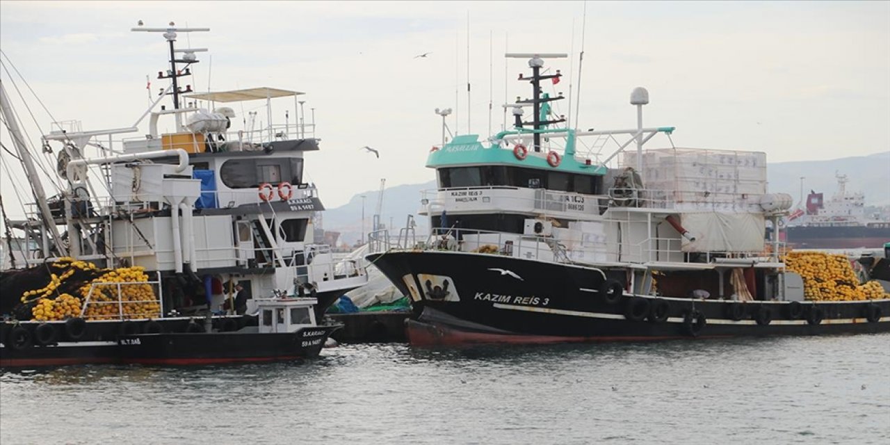 Tekirdağlı Balıkçılar Torik İçin Denize Açılıyor