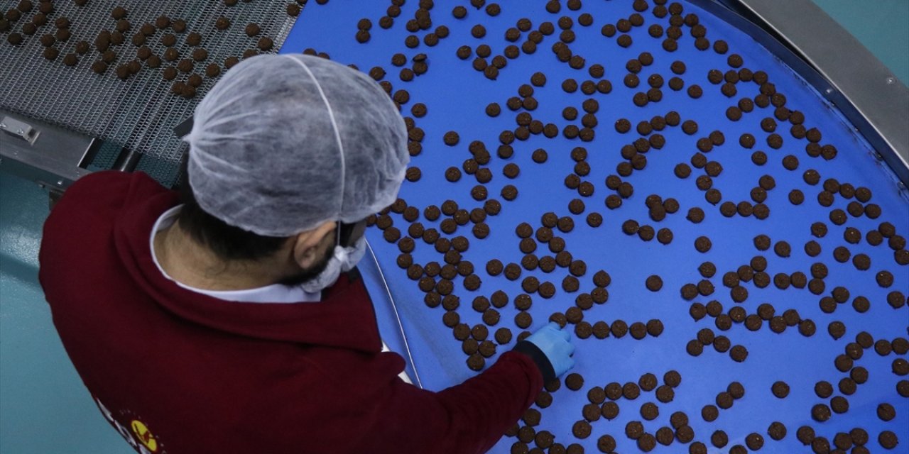 Devlet Desteğiyle Kurduğu Fabrikada Günde 100 Bin Paket Glütensiz Gıda Üretiyor