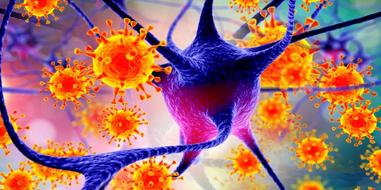 Nipah Virüsünde Korunma Hayati Önem Taşıyor