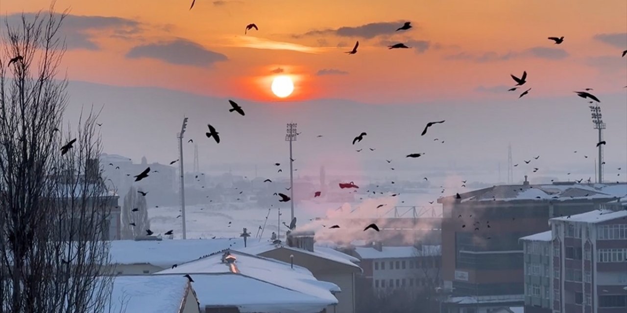 Ardahan'da Gün Batımında Kuşların Süzülüşü Görüntülendi
