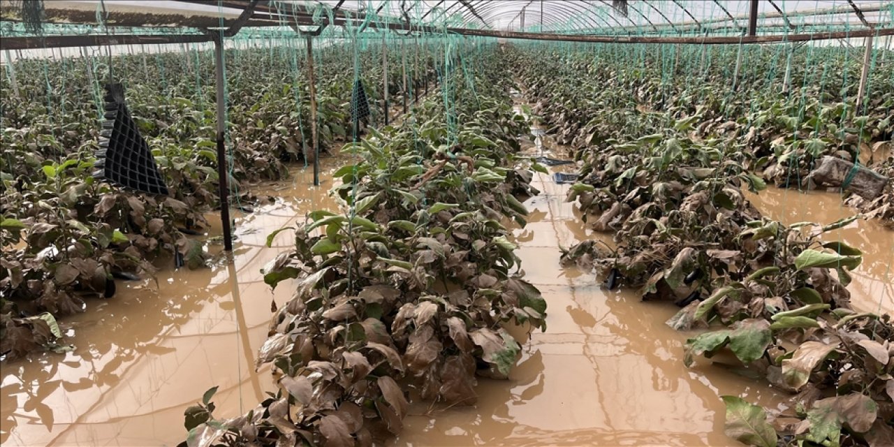 Tarsim'den Antalya'da Su Baskınından Etkilenen Seralara Ziyaret