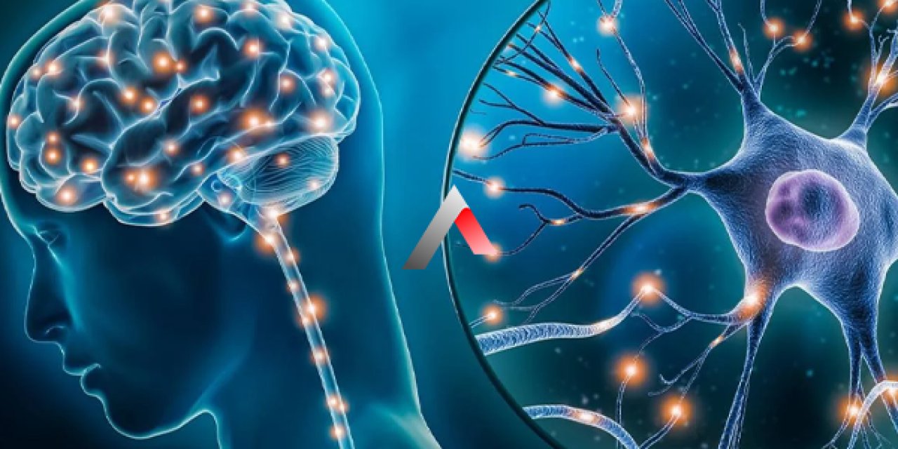 Uykudaki Fiziksel Tepkiler Nörodejeneratif Süreçlerin Erken Habercisi Olabilir