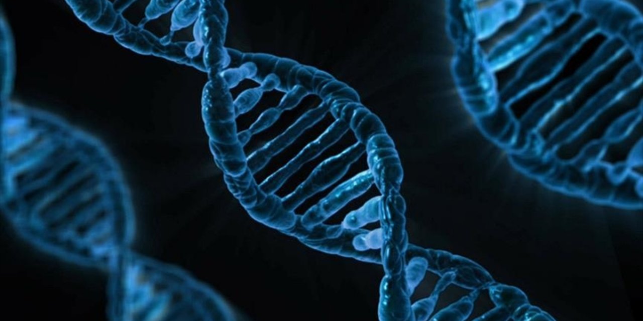 Yapay Zeka Modeli "Alphagenome" Yardımıyla Dna'nın Bilinmeyenlerinin Keşfedilmesi Öngörülüyor