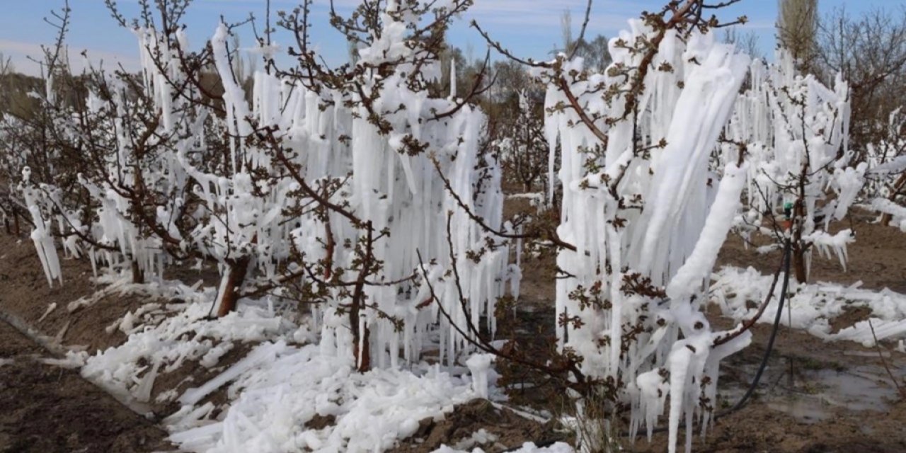 Zirai Don Riskine Karşı Arazi ve Bölgeye Göre Üretim Yapılmalı