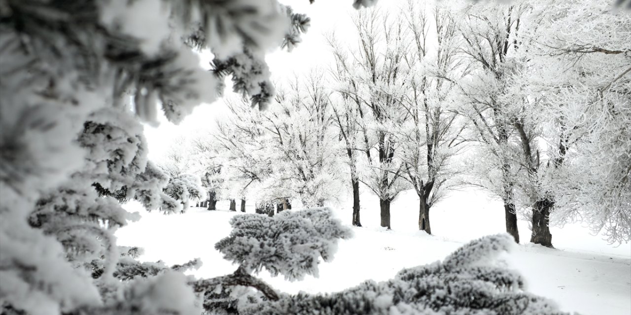 Erzurum, Ardahan İle Kars'ta Sis ve Soğuk Hava Etkili Oluyor