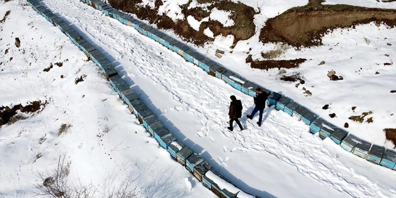 Depremden Etkilenen Elazığ'da Arıcı Ve Besiciler Yaralarını Devlet Desteğiyle Sardı