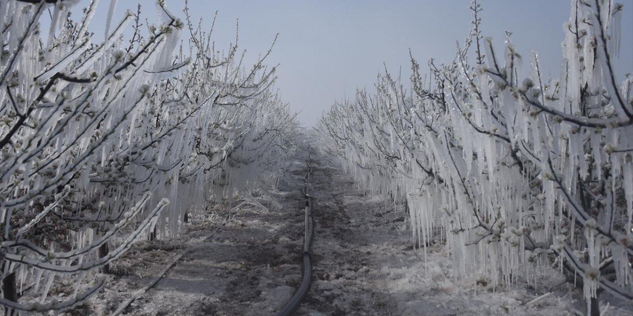 Zirai Don Riskine Karşı Arazi Ve Bölgeye Göre Üretim Yapılmalı