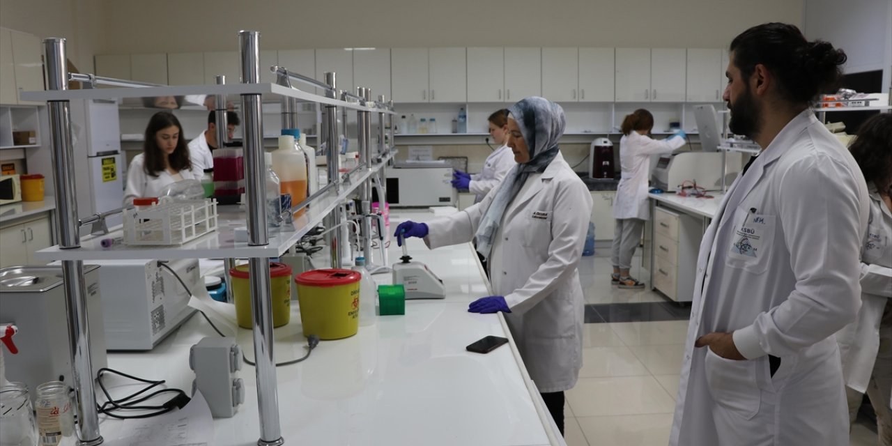Akademisyenlerin Geliştirdiği Bor İçerikli Bileşenin Kanser Hücrelerine Etkisine Yönelik Çalışmalar Tamamlandı