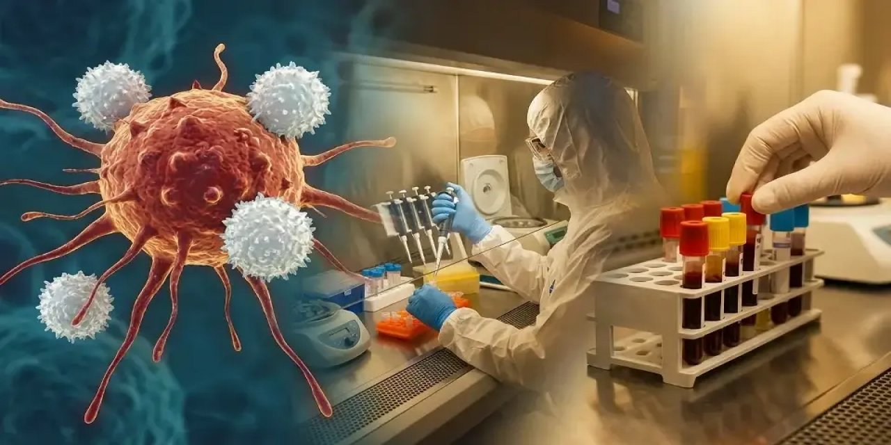 İspanya'da Araştırmacılar Farelerde Pankreas Kanserini Tedavi Etti