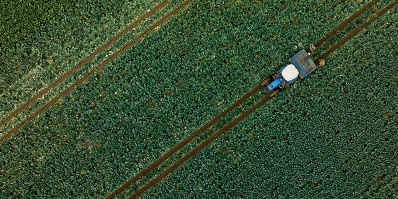 Çiftçilere 255,4 Milyon Lira Tarımsal Destekleme Ödemesi Bugün Yapılacak