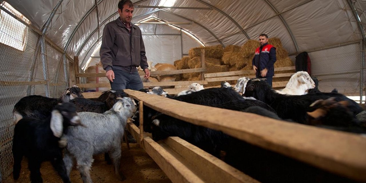 Depremde Ahırı Yıkılan Küçükbaş Yetiştiricisi Devlet Desteğiyle Üretime Döndü