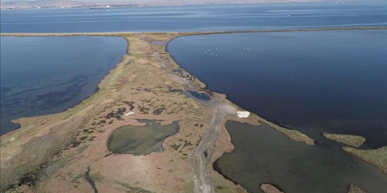 Dünya Genelinde Süren Sulak Alan Kaybı, Küresel Ekonomiyi Tehdit Ediyor