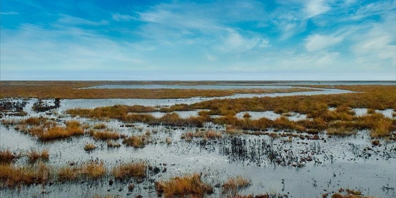 Sulak Alanların Korunması, Hes'lerin Sürdürülebilirliği İçin Önem Taşıyor