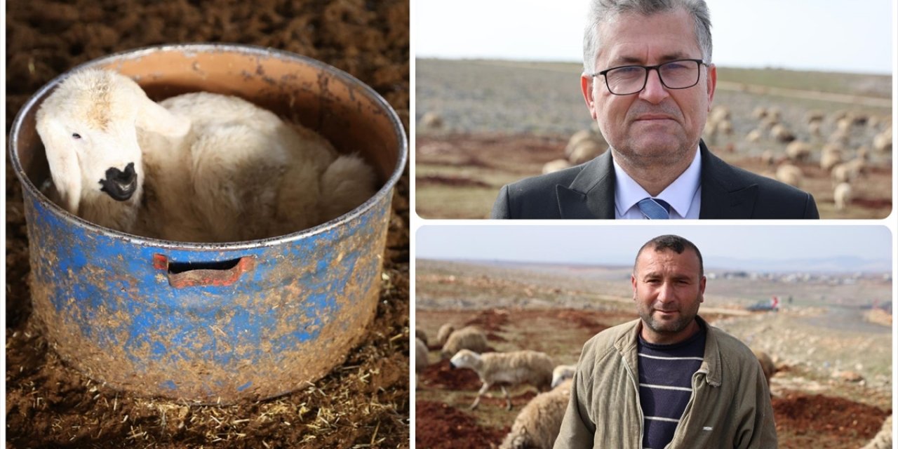 Depremzede Besici, Devlet Desteğiyle Sürüsünü Büyüttü