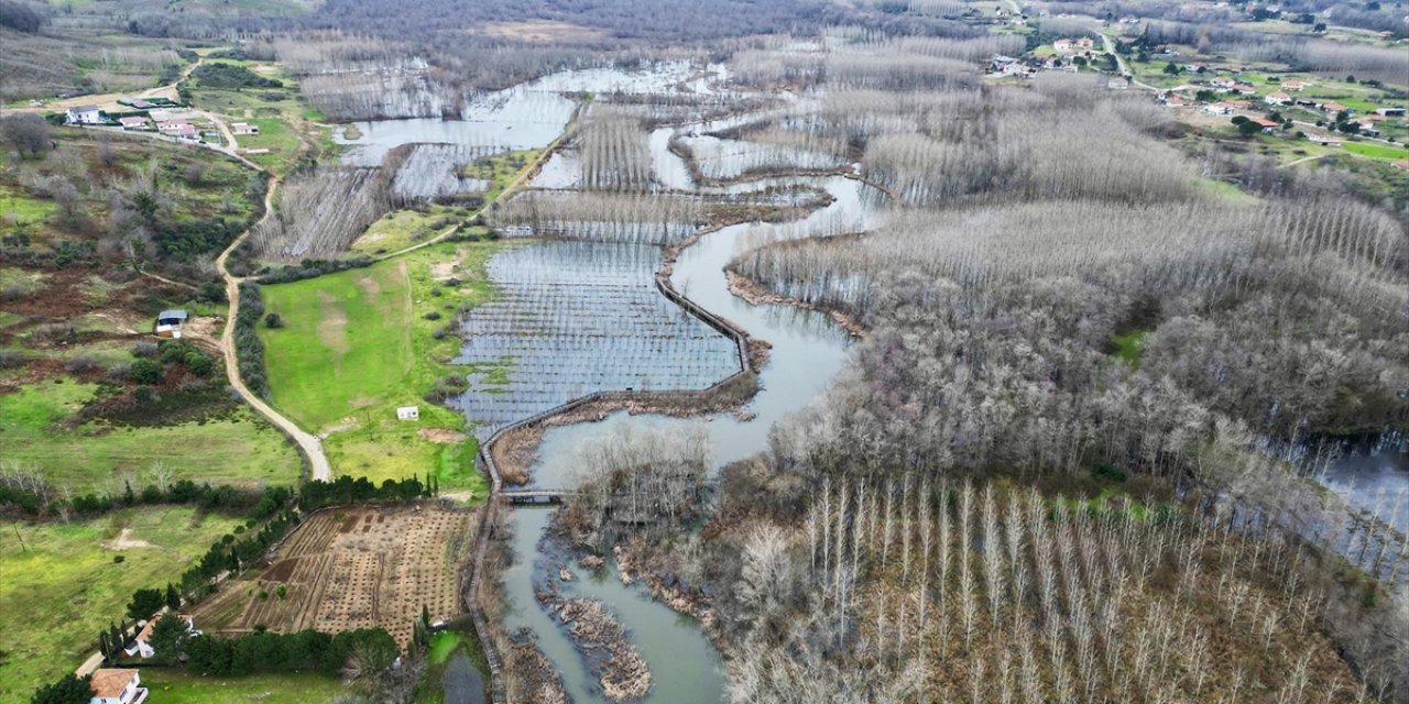 Acarlar Longozu Değişken Su Seviyesine Uyum Sağlayan Bitkilere ve Hayvanlara Yuva Oluyor