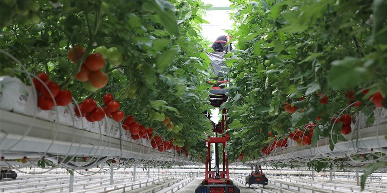 Ipard-ııı Kapsamında 214 Projeye 1,7 Milyar Lira Hibe Verilecek