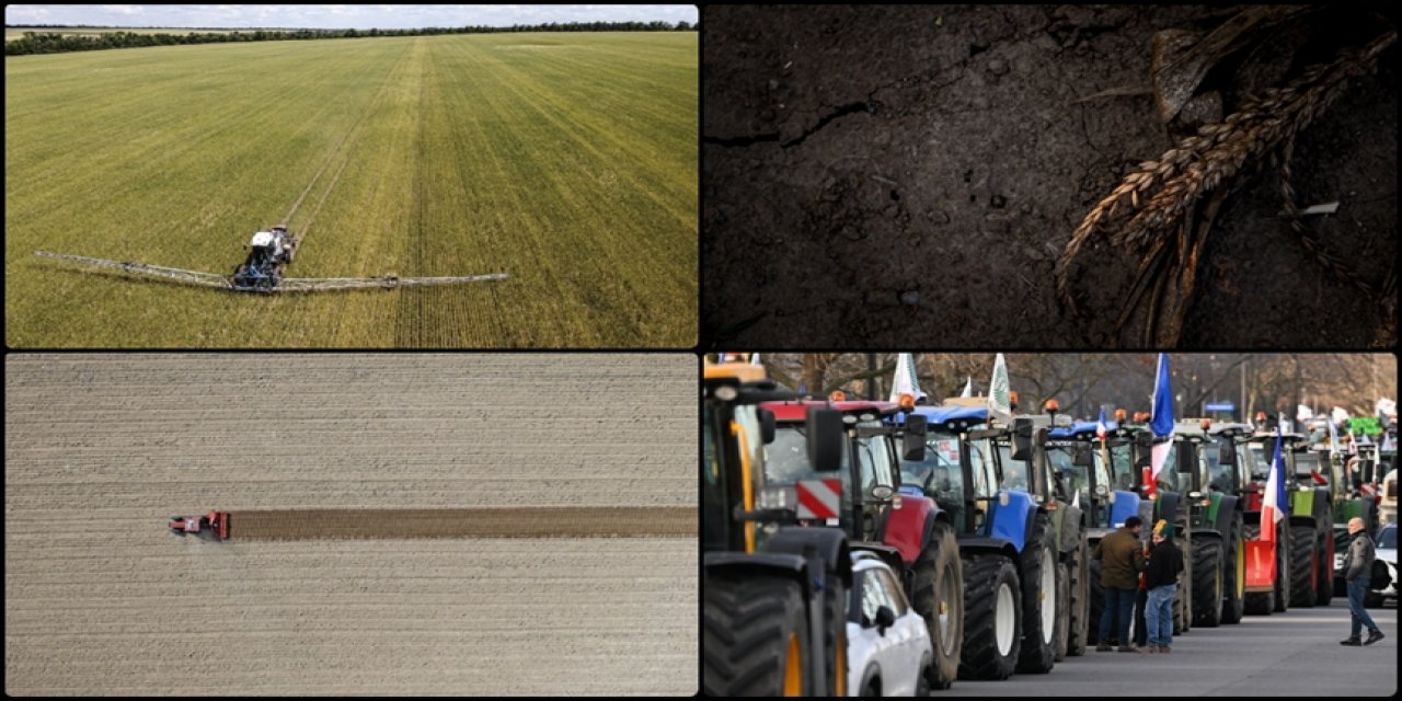 AB'de Tarım Topraklarının Bozulmasının Maliyeti Yıllık 50 Milyar Avroya Ulaşıyor