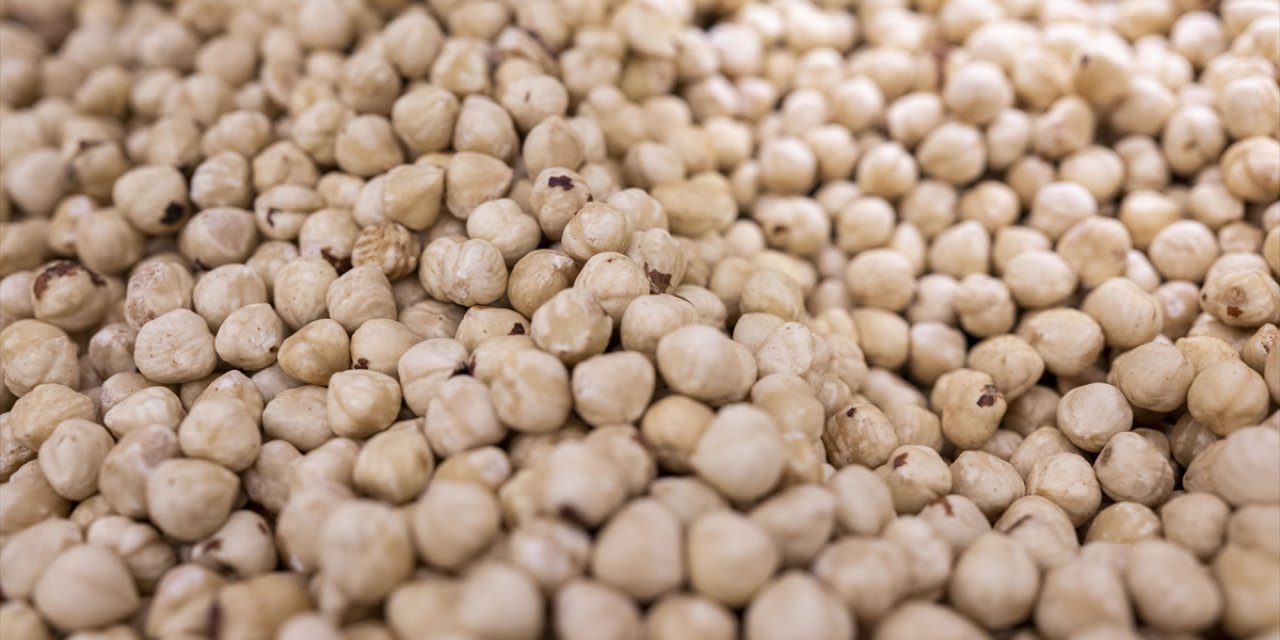 Doğu Karadeniz'den Yılın İlk Ayında Yapılan İhracat 125,5 Milyon Doları Aştı