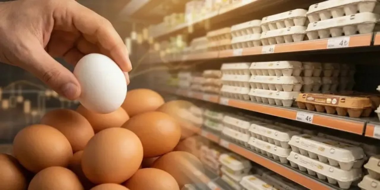 Kahverengi Yumurta Raflardan Kalkıyor! Artık Satılmayacak!