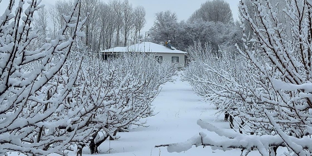 Doğu'da Soğuk Hava ve Kar Etkisini Sürdürüyor