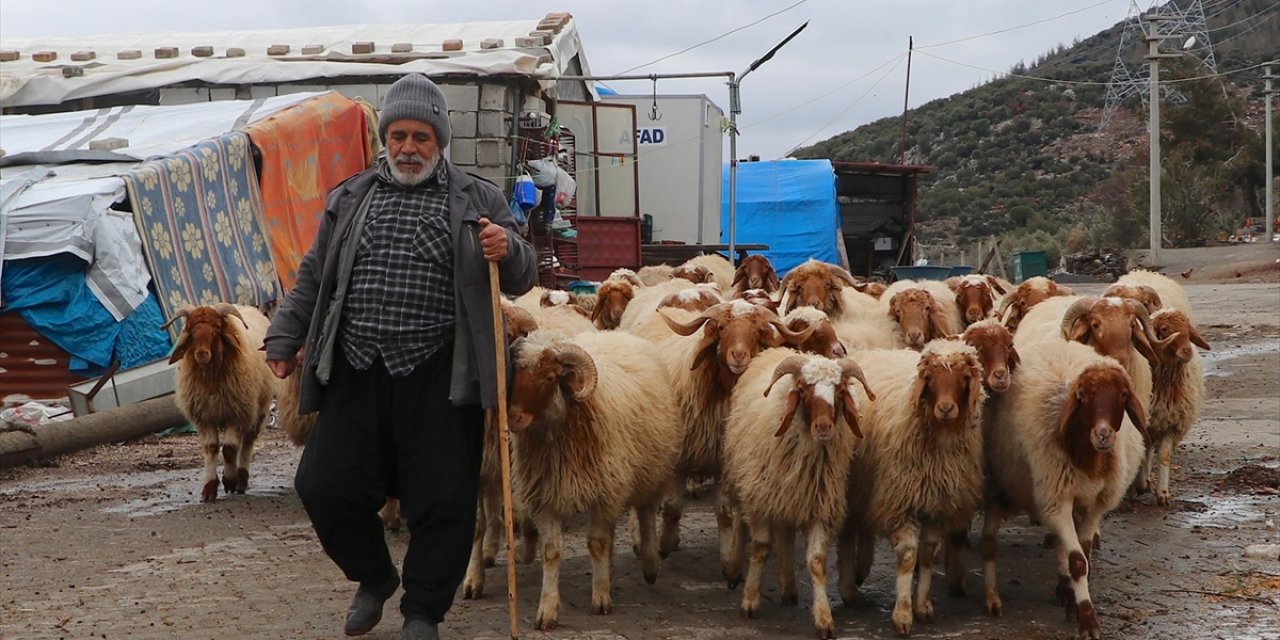 Depremlerde Hayvanları Telef Olan Yetiştirici Devlet Desteğiyle Yeniden Üretime Geçti