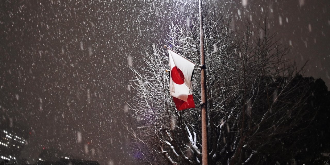 Japonya'da Şiddetli Kış Şartlarından Kaynaklanan Can Kayıplarının Sayısı 35'e Çıktı