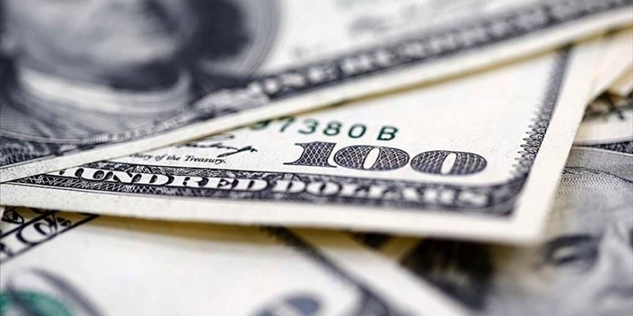 Reel Efektif Döviz Kuru Endeksi Ocakta 102,17 Oldu