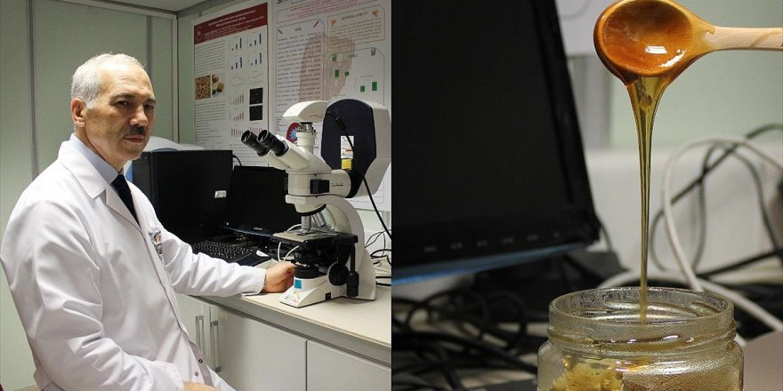 Siyah Bal, Kanser Hücrelerini Öldürüyor