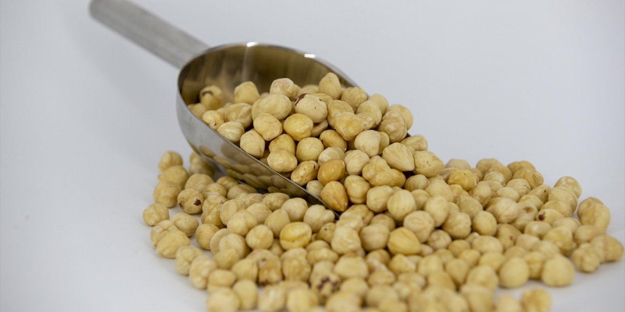 Ticaret Borsalarında Sezonun İlk 5 Ayında 217 Bin Tonu Aşkın Fındık İşlem Gördü