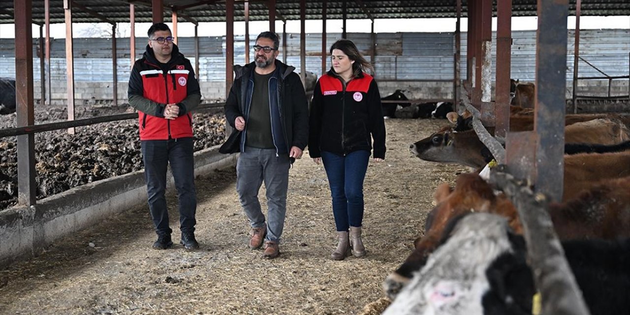 Depremzede Besici, Devlet Desteğiyle Hayvan Sayısını Katladı