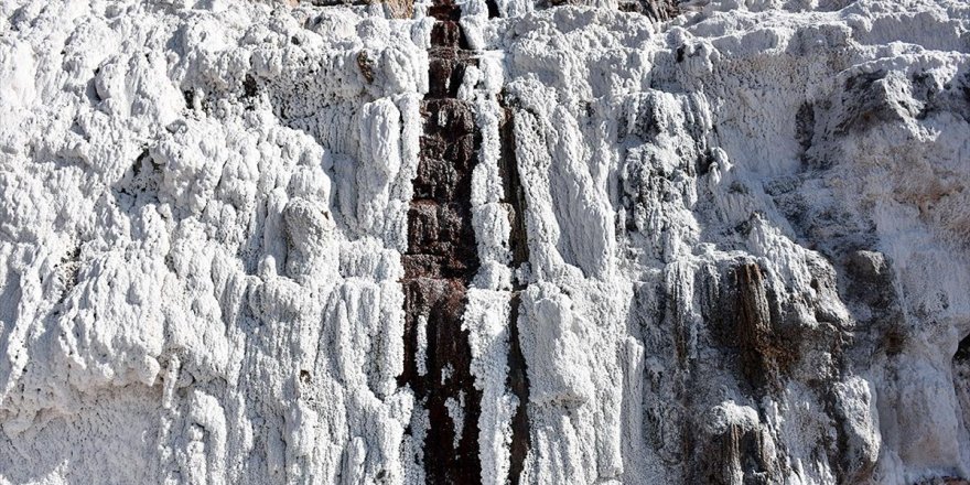 Arsenal'in de Tükettiği Delice Tuzu Birçok Ülkeden İlgi Görüyor