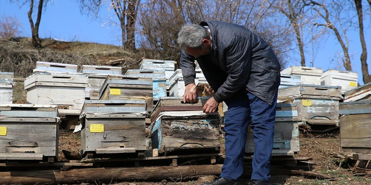 Diyarbakır'da Depremzede Üreticiler Devlet Desteğiyle Hayvan Sayısını Artırdı