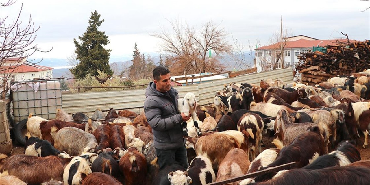 Depremzede Besici, Devlet Desteğiyle Hayvan Sayısını Artırdı