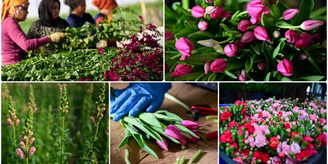 Çiçek Sektöründe Sevgililer Günü Yoğunluğu Başladı