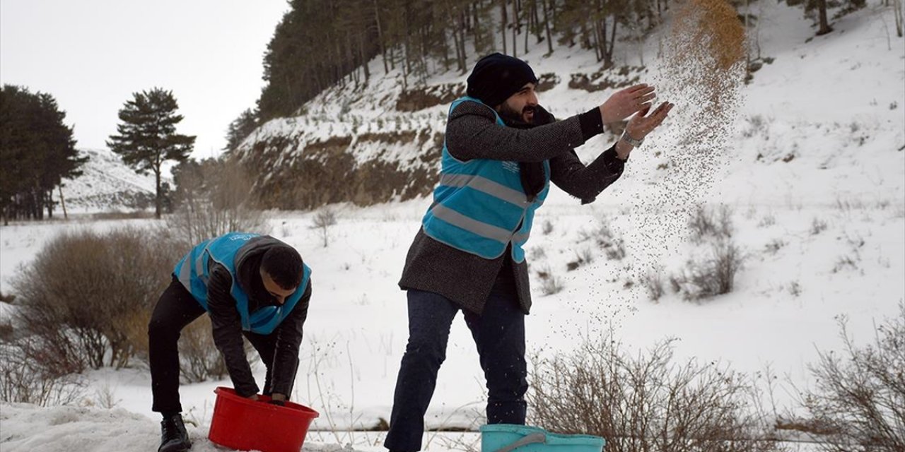 İmamlar Zorlu Kış Şartlarında Yiyecek Bulamayan Yaban Hayvanlarına Yem Taşıyor