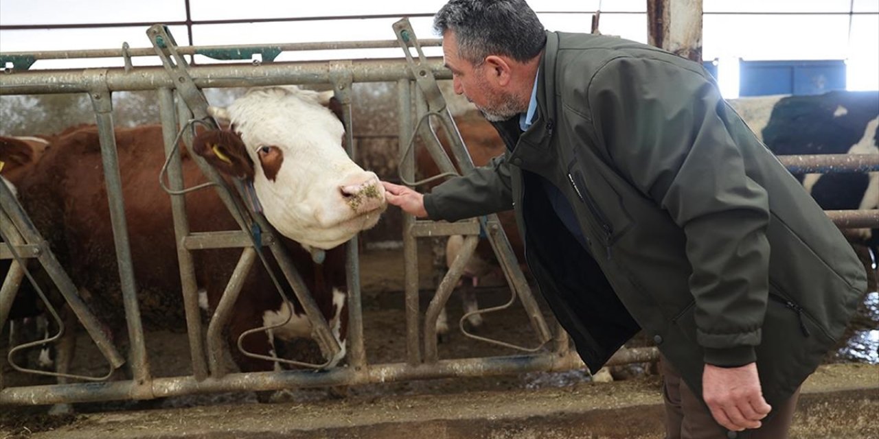 Devlet Desteğiyle Kurduğu İşletmesinde Günlük 1,5 Ton Süt Elde Ediyor
