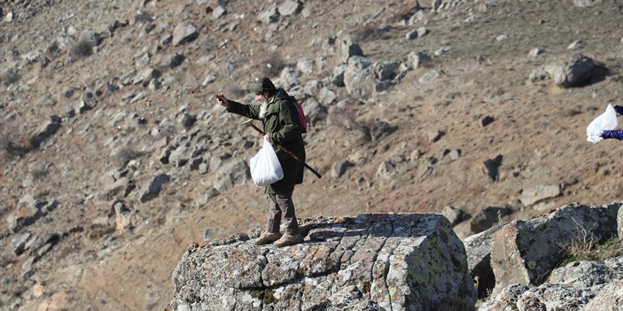 Ağaç Tutkunu 72 Yaşındaki Emekli Teknisyen, Yürüyüş Gruplarıyla Doğayı Yeşertiyor