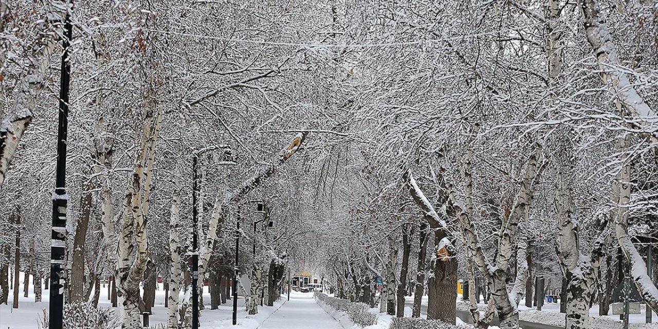 Doğuda Kar Yağışı Etkilisini Sürdürüyor
