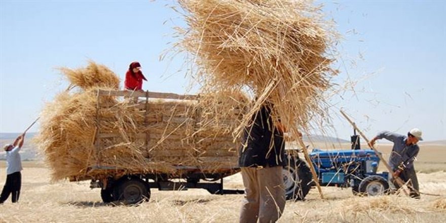 Çiftçi Tarımsal Destekten Beklediğini Alamadı