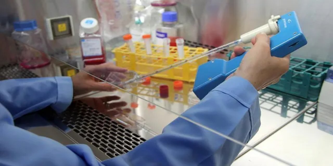 Helikobakter Pilori Mide Kanseri Riskini Artırıyor