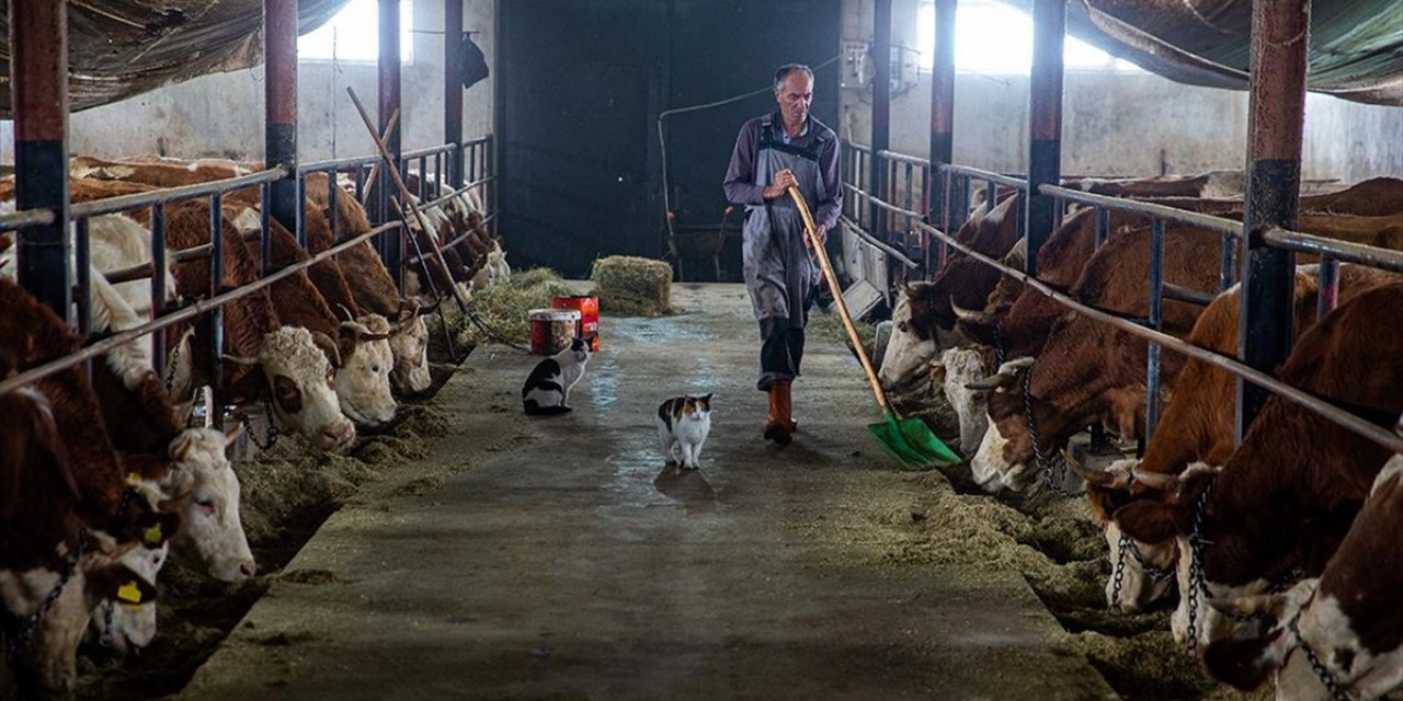 Hayvancılığı Bırakacakken Devlet Desteğiyle Eski Ahırdan Modern Tesise Adım Attı