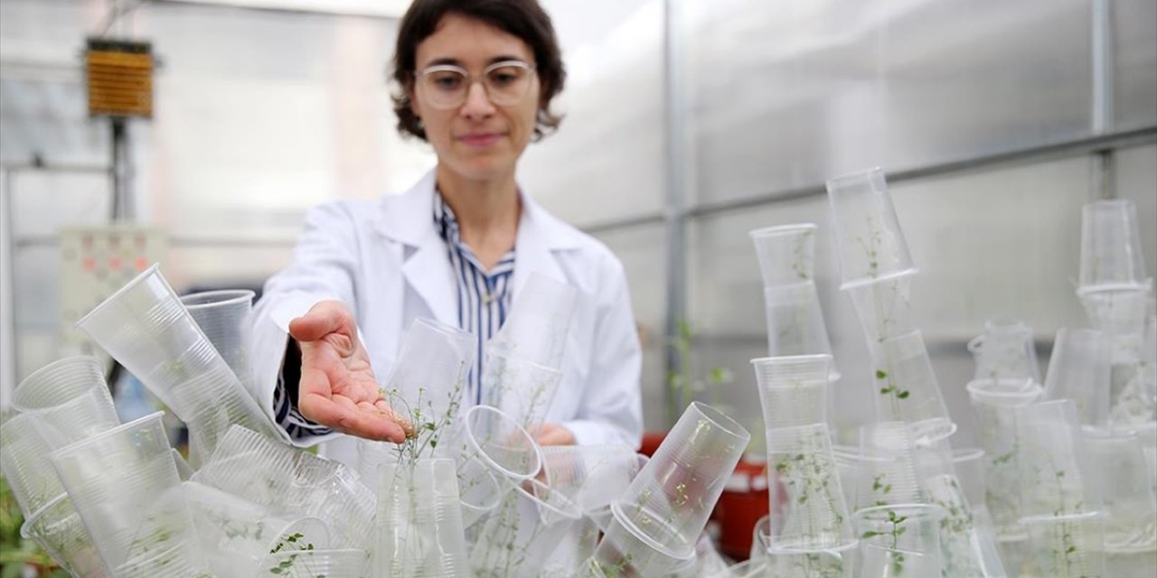 Türk Bilim Kadını Deneyleriyle Uzay Biyolojisine Katkı Sunuyor