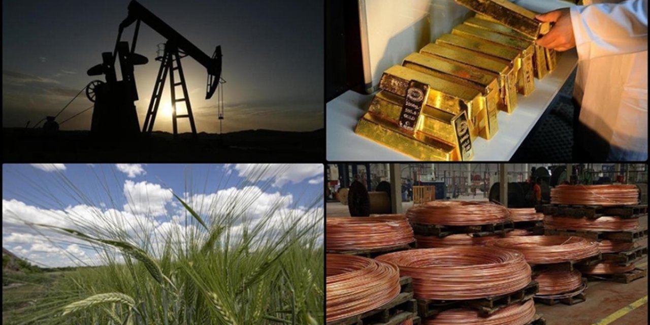 Emtia Piyasasında Geçen Yılki Rekorlar Ocak Ayına da Taşındı