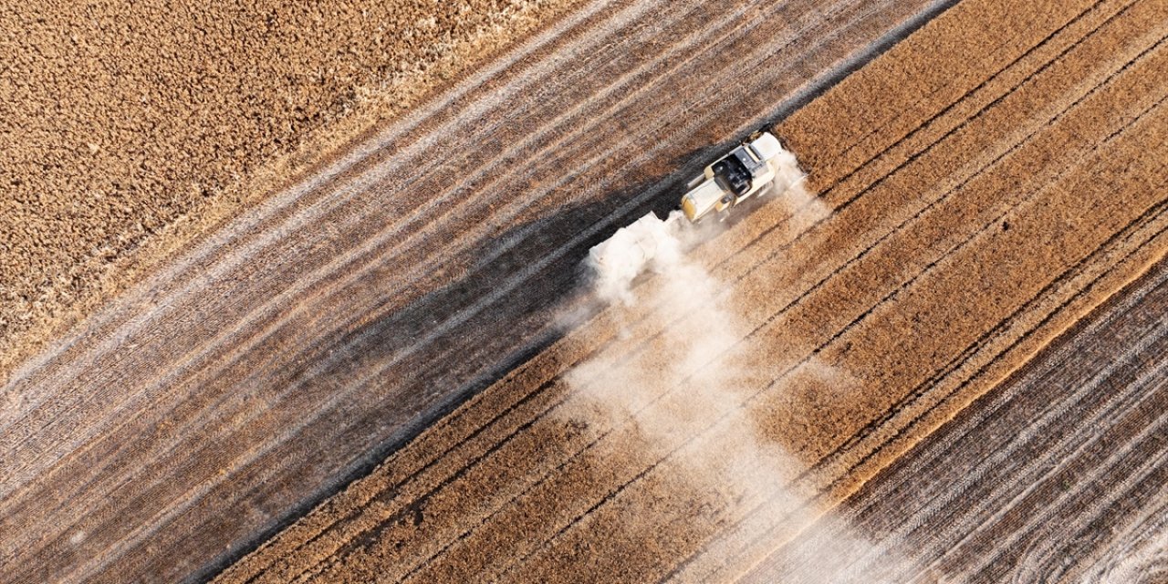 Tarım Sezonunun İlk 3 Ayında Yağışlar Uzun Yıllar Ortalamasına Göre Yüzde 20 Azaldı
