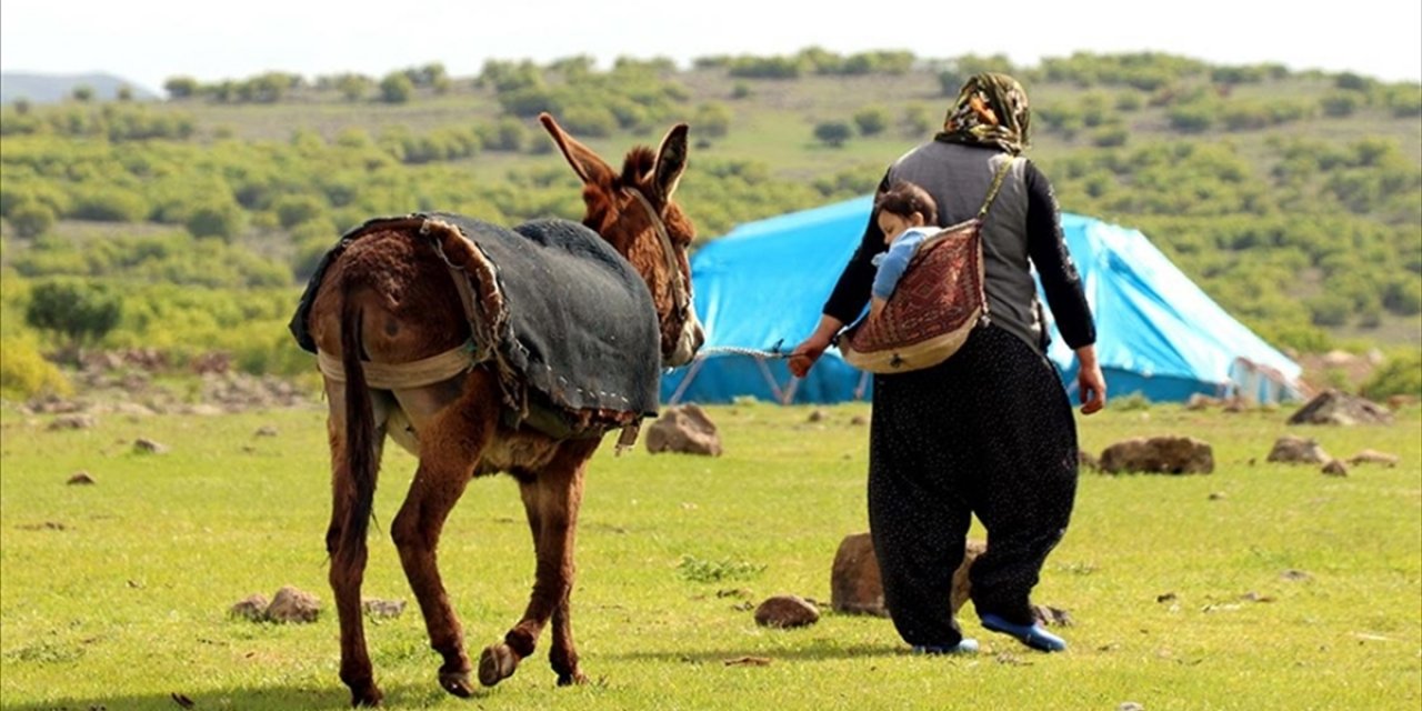 Türkiye'nin Nüfusu Artarken Kırsalda Yaşayanların Nüfusu Azalıyor