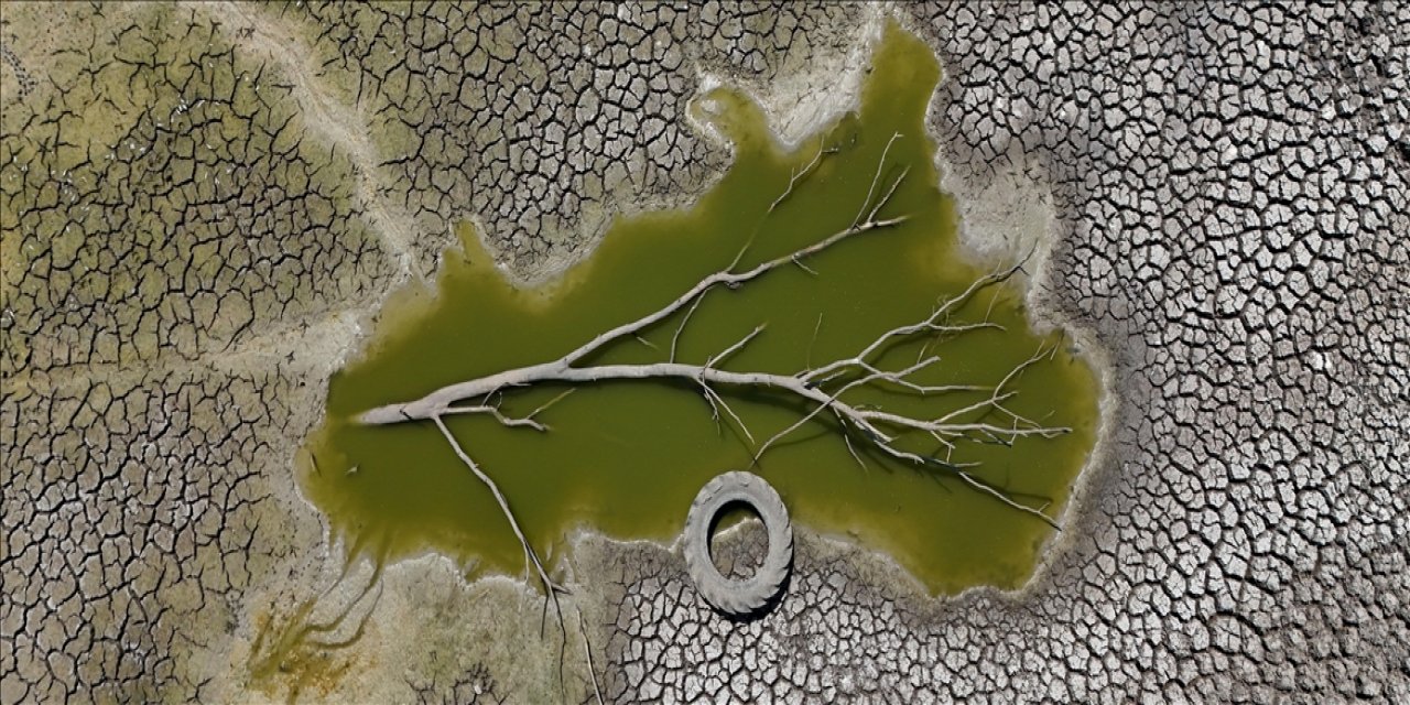 İklim Bilimciler AA'nın "Yılın Kareleri" Oylamasına Katıldı